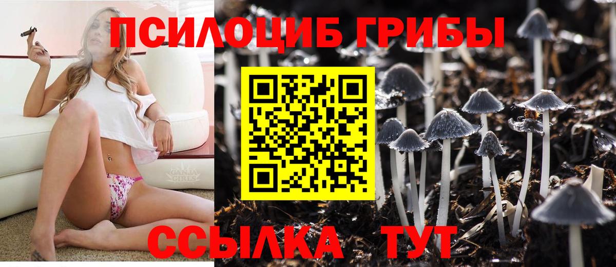 Псилоцибиновые грибы Cubensis Краснокаменск