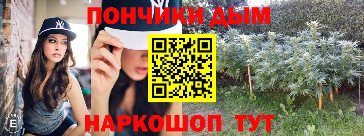 Шишки марихуана план Краснокаменск